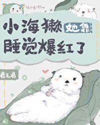 小海獭她靠睡觉爆红了晋江电脑版