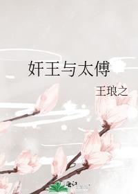 王太傅什么意思