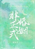非正式婚姻全文TXT资源