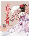 妻闲夫贵txt百度资源