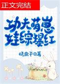 功夫宝宝功夫