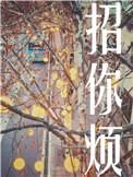 招你烦by初禾讲的什么