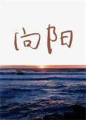 向阳花图片