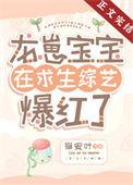 龙崽崽是清宫团宠