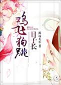 鸡飞狗跳日子长讲的什么
