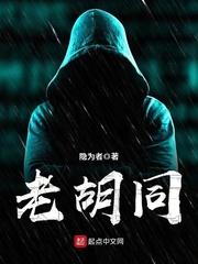老胡同烤鸭西安高新店