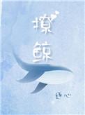 撩鲸作者逐心讲的什么