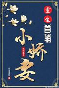 重生首辅小娇妻全文免费