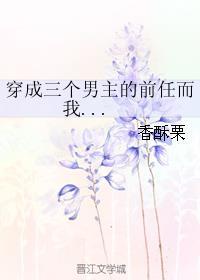 穿成三个男主的前任而我对此一无所知百度