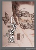 上等宠爱全文免费阅读