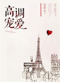 高调宠爱有番外吗