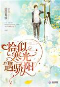 恰似寒光遇骄阳免费阅读漫画下拉式六漫画