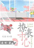 撩表寸心拼音