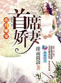 名门宠婚首席宠妻成瘾全文免费阅读