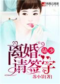陆少离婚请签字短剧