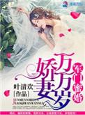 军门蜜爱 最强宠婚