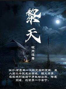黎天戈和向晚的