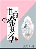 他的金丝雀by流兮冉TXT