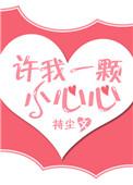 许我一颗小心心无防盗