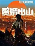 赘婿出山笔