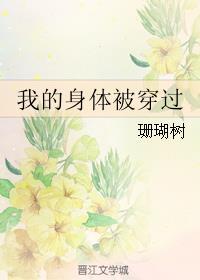 我的身体被穿过阅读