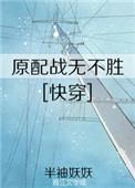 原配战无不胜(快穿 )