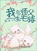 我与师父生毛球(求心) 作者辰冰