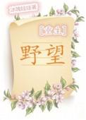 野望诗词鉴赏