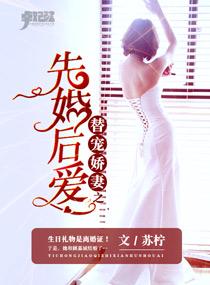 先婚后爱总裁的隐婚娇妻