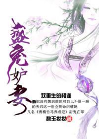 盛宠皇妾百科