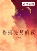 摇摇晃晃的夜作者漾梨晋江