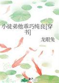 小徒弟啥意思