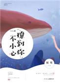 一不小心撩到你 想飞的门子