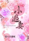 小逃妻全文阅读