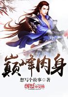 巅峰肉干怎么样