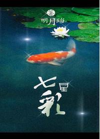 七星彩历史开奖结果