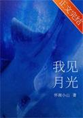 我见月光番外免费阅读