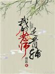 我的老师是首辅书评