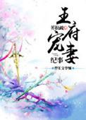 王府宠妾记