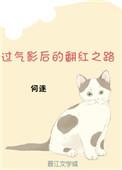 过气影后的翻红之路何逐