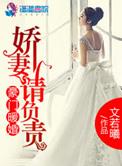 豪门暖婚之娇妻请负责无弹窗