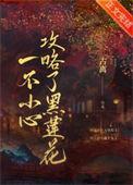 一不小心攻略了黑莲花番外