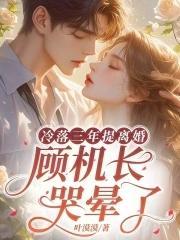 顾机长哭晕了叶漠漠