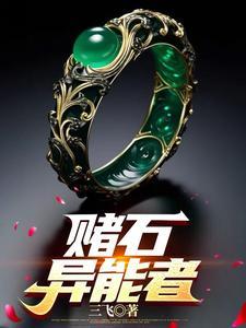 异能赌石鉴宝