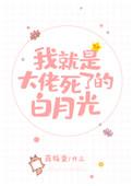 我就是大佬死了的那个白月光