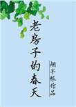 老房子的春天TXT云