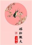 嫁给鳏夫免费全文阅读