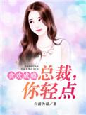 总裁轻点宠在线阅读