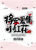 将军爱集小红花盘