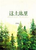 这片土地是什么歌